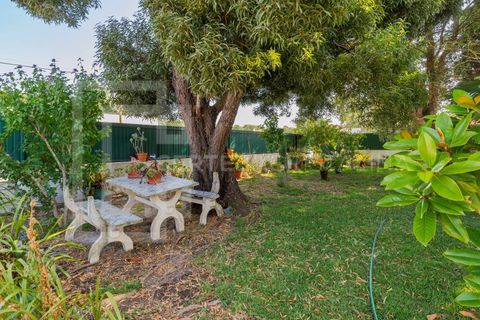 Villa i Quinta do Anjo, Setubal, Quinta do Anjo - € 535.000 | Ref: CAS_192 - foto 37