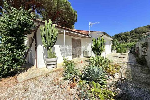Villa a Capoliveri, Livorno, Capoliveri - € 590.000 | Ref: 5204 - foto 5