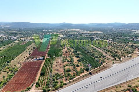 Helårsgrund i Paderne, Faro, Paderne - € 75.000 | Ref: LT-7336 - foto 3