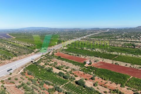 Helårsgrund i Paderne, Faro, Paderne - € 75.000 | Ref: LT-7336 - foto 4