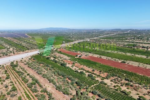 Helårsgrund i Paderne, Faro, Paderne - € 75.000 | Ref: LT-7336 - foto 5