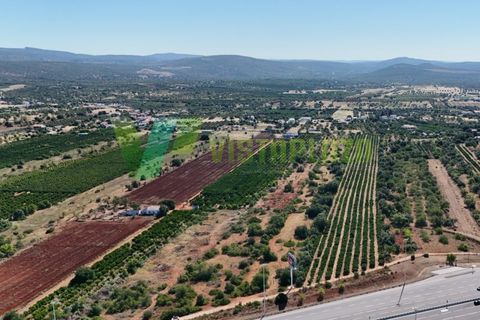Helårsgrund i Paderne, Faro, Paderne - € 75.000 | Ref: LT-7336 - foto 11