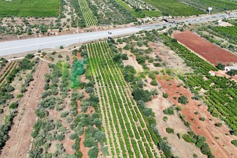 Helårsgrund i Paderne, Faro, Paderne - € 75.000 | Ref: LT-7336 - foto 18