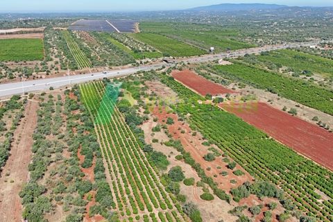 Helårsgrund i Paderne, Faro, Paderne - € 75.000 | Ref: LT-7336 - foto 19