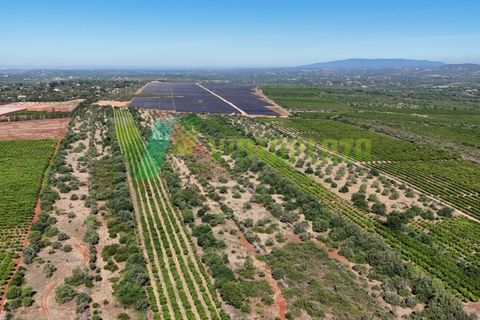 Helårsgrund i Paderne, Faro, Paderne - € 75.000 | Ref: LT-7336 - foto 21