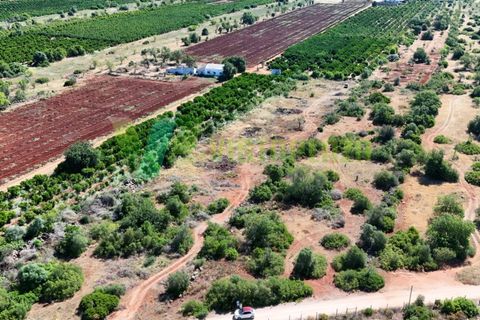 Helårsgrund i Paderne, Faro, Paderne - € 75.000 | Ref: LT-7336 - foto 23
