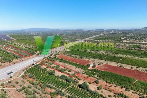 Helårsgrund i Paderne, Faro, Paderne - € 75.000 | Ref: LT-7336 - foto 1