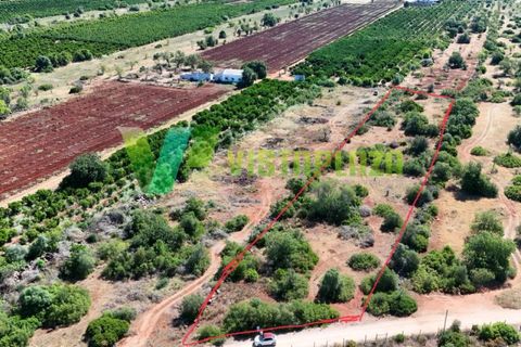 Helårsgrund i Paderne, Faro, Paderne - € 75.000 | Ref: LT-7336 - foto 26