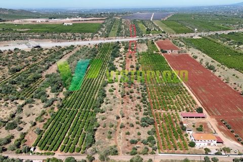 Helårsgrund i Paderne, Faro, Paderne - € 75.000 | Ref: LT-7336 - foto 27