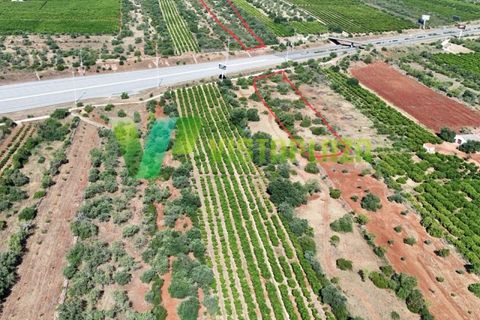 Helårsgrund i Paderne, Faro, Paderne - € 75.000 | Ref: LT-7336 - foto 28