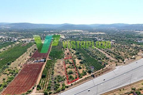 Helårsgrund i Paderne, Faro, Paderne - € 75.000 | Ref: LT-7336 - foto 29