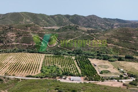 Erhvervsejendom i Monchique, Faro, Monchique - € 750.000 | Ref: QNT-7319 - foto 4