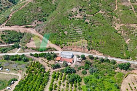 Erhvervsejendom i Monchique, Faro, Monchique - € 750.000 | Ref: QNT-7319 - foto 5