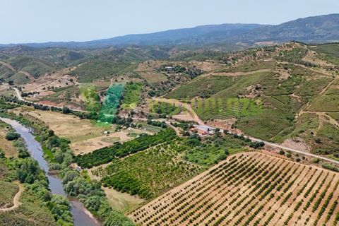 Erhvervsejendom i Monchique, Faro, Monchique - € 750.000 | Ref: QNT-7319 - foto 6