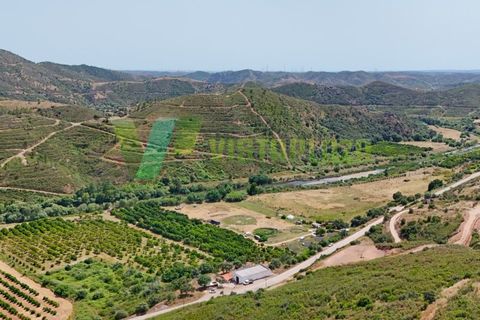 Erhvervsejendom i Monchique, Faro, Monchique - € 750.000 | Ref: QNT-7319 - foto 17