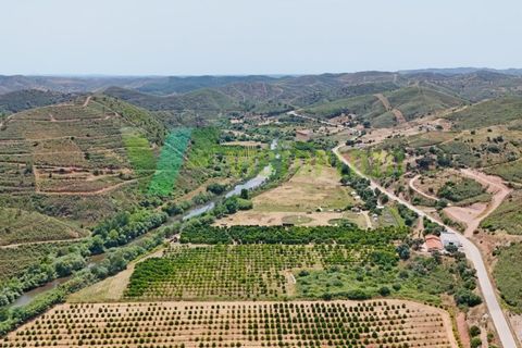 Erhvervsejendom i Monchique, Faro, Monchique - € 750.000 | Ref: QNT-7319 - foto 18