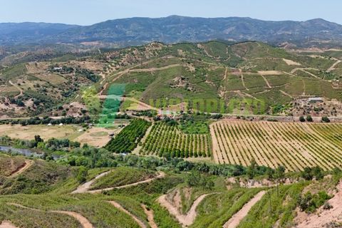 Erhvervsejendom i Monchique, Faro, Monchique - € 750.000 | Ref: QNT-7319 - foto 19