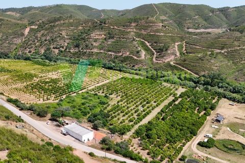 Erhvervsejendom i Monchique, Faro, Monchique - € 750.000 | Ref: QNT-7319 - foto 20