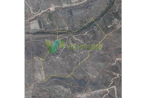 Erhvervsejendom i Monchique, Faro, Monchique - € 750.000 | Ref: QNT-7319 - foto 24
