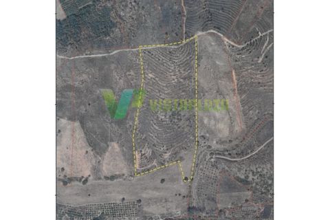 Erhvervsejendom i Monchique, Faro, Monchique - € 750.000 | Ref: QNT-7319 - foto 25