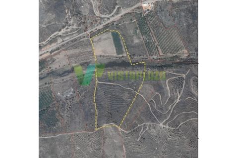 Erhvervsejendom i Monchique, Faro, Monchique - € 750.000 | Ref: QNT-7319 - foto 26