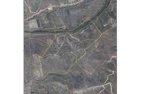Erhvervsejendom i Monchique, Faro, Monchique - € 750.000 | Ref: QNT-7319 - foto 29