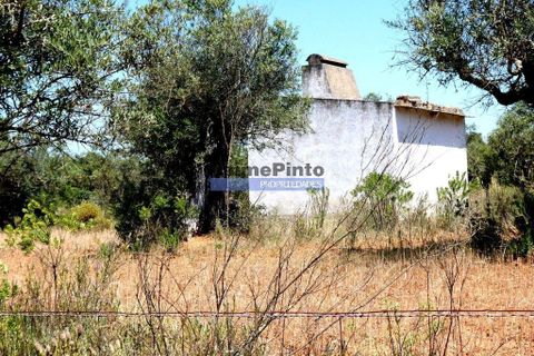 Helårsgrund i Portel, Evora, Portel - € 25.000 | Ref: 9975_T - foto 1