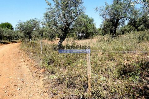 Helårsgrund i Portel, Evora, Portel - € 25.000 | Ref: 9975_T - foto 3