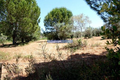 Helårsgrund i Portel, Evora, Portel - € 25.000 | Ref: 9975_T - foto 4