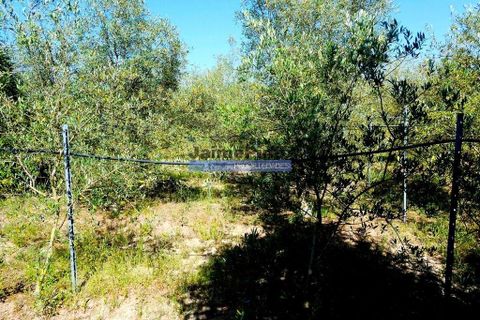 Villa a Montijo, Setubal, Montijo - € 650.000 | Ref: 9974_M - foto 5