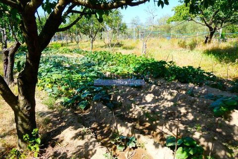 Villa a Montijo, Setubal, Montijo - € 650.000 | Ref: 9974_M - foto 6