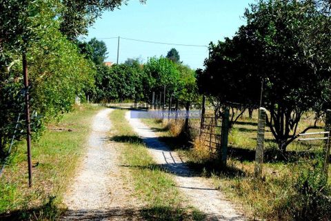 Villa a Montijo, Setubal, Montijo - € 650.000 | Ref: 9974_M - foto 7