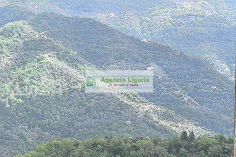 Wohnung in Perinaldo, Imperia, Perinaldo - € 120.000 | Ref: 1127 - Foto 3