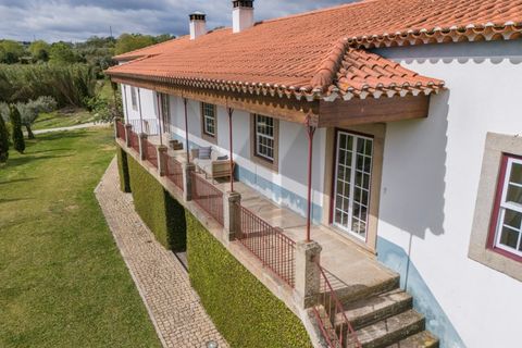 Farm i Castelo Branco, Castelo Branco, Castelo Branco - € 6.500.000 | Ref: MAS_102 - foto 1