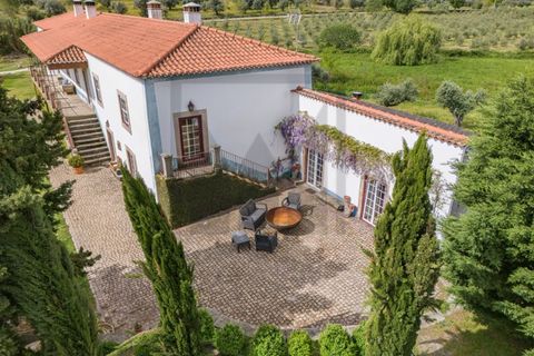 Farm i Castelo Branco, Castelo Branco, Castelo Branco - € 6.500.000 | Ref: MAS_102 - foto 2