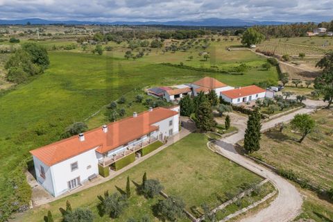 Farm i Castelo Branco, Castelo Branco, Castelo Branco - € 6.500.000 | Ref: MAS_102 - foto 5