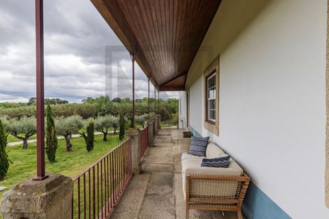 Farm i Castelo Branco, Castelo Branco, Castelo Branco - € 6.500.000 | Ref: MAS_102 - foto 10