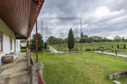 Farm i Castelo Branco, Castelo Branco, Castelo Branco - € 6.500.000 | Ref: MAS_102 - foto 14