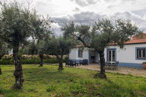 Farm i Castelo Branco, Castelo Branco, Castelo Branco - € 6.500.000 | Ref: MAS_102 - foto 15