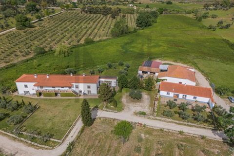 Farm i Castelo Branco, Castelo Branco, Castelo Branco - € 6.500.000 | Ref: MAS_102 - foto 26
