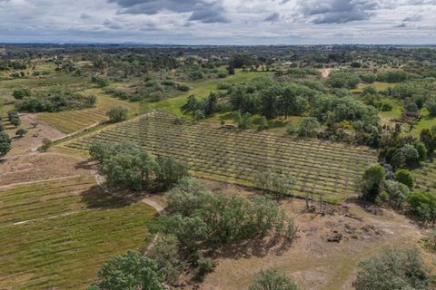 Farm i Castelo Branco, Castelo Branco, Castelo Branco - € 6.500.000 | Ref: MAS_102 - foto 31