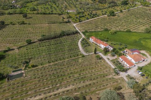 Farm i Castelo Branco, Castelo Branco, Castelo Branco - € 6.500.000 | Ref: MAS_102 - foto 32