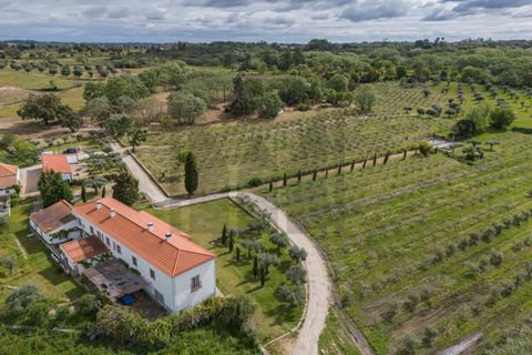 Farm i Castelo Branco, Castelo Branco, Castelo Branco - € 6.500.000 | Ref: MAS_102 - foto 34