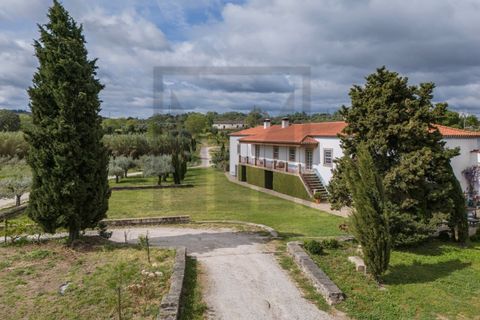 Farm i Castelo Branco, Castelo Branco, Castelo Branco - € 6.500.000 | Ref: MAS_102 - foto 35