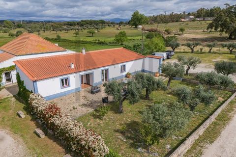 Farm i Castelo Branco, Castelo Branco, Castelo Branco - € 6.500.000 | Ref: MAS_102 - foto 36