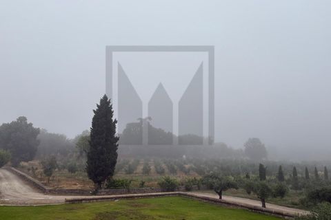 Farm i Castelo Branco, Castelo Branco, Castelo Branco - € 6.500.000 | Ref: MAS_102 - foto 43