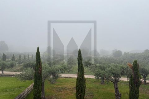 Farm i Castelo Branco, Castelo Branco, Castelo Branco - € 6.500.000 | Ref: MAS_102 - foto 44