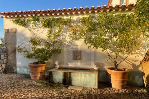 Farm i Castelo Branco, Castelo Branco, Castelo Branco - € 6.500.000 | Ref: MAS_102 - foto 45