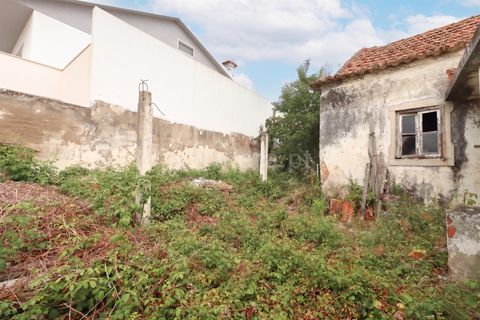 Helårsgrund i Bombarral, Leiria, Bombarral - € 67.500 | Ref: 295260056 - foto 10