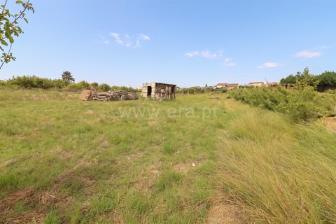 Helårsgrund i Bombarral, Leiria, Bombarral - € 52.500 | Ref: 295260057 - foto 3